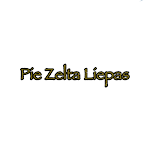 Cover Image of ダウンロード Pie Zelta Liepas DB  APK