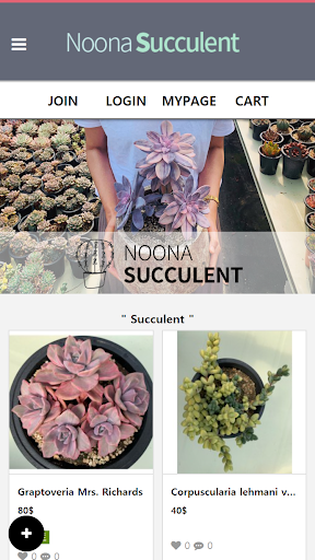 NOONA SUCCULENT Screen 2