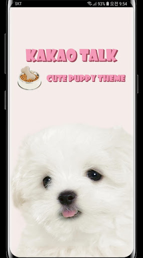 Android application 하얀 강아지 (마르티스) 카톡 테마 pink ver screenshort
