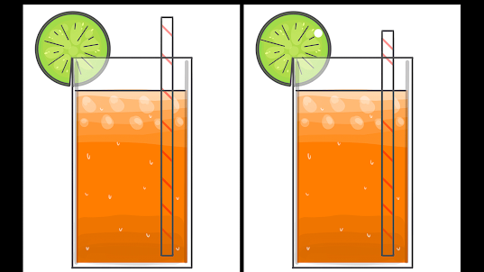 Find Five Differences, Premium