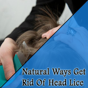 Natural Ways Get Rid Of Head Lice