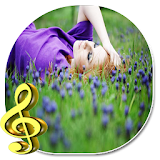 relaxing music and ringtones icon