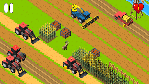 Wild Animals in Village