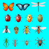 AtoZ Insects Name Prime icon