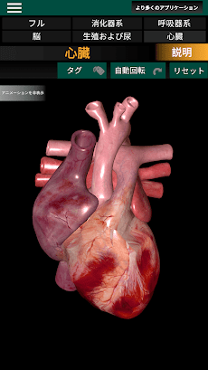 3D内臓（解剖学）のおすすめ画像3