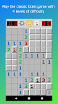 screenshot of Minesweeper Pro