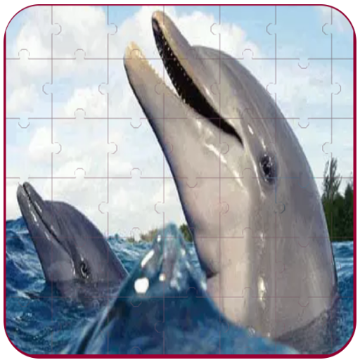 Real Dolphins Game : Jigsaw Pu  Icon