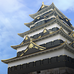 Edo Castle Tower Keep Resurrected Apk