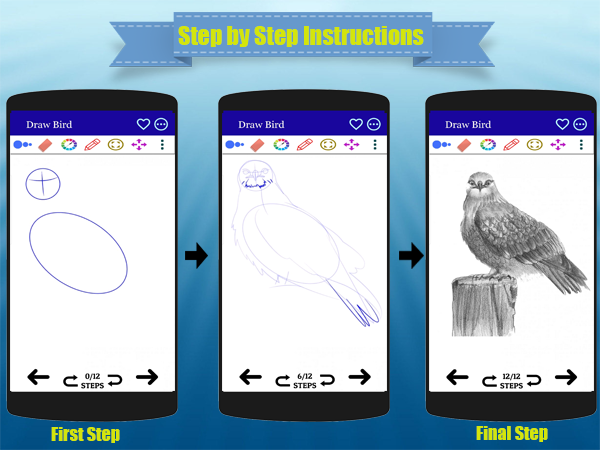 Cómo dibujar un pájaro fácil66 - Última Versión Para Android - Descargar Apk