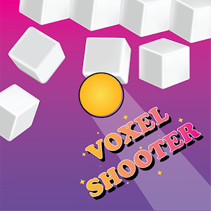 Voxel Shooter Game