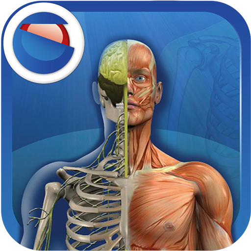 Il Corpo Umano Scarica su Windows