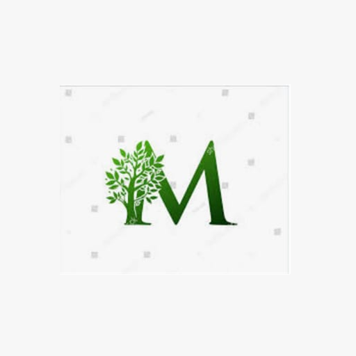 MegaFV - Financial Services logo