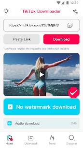 Video downloader for TT 2