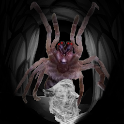 Icon image The Hidden Cavern