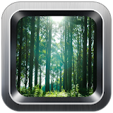 Forest wallpaper icon