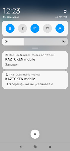KAZTOKEN mobile Screen 2