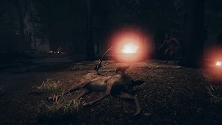 The Mystery Of Eigengrau - Screenshot 1