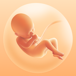 Obraz ikony: Moja ciąża. Kalendarz ciąży