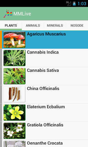 Homeopathic MMLive Pro Screen 3