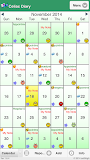 Celiac (Coeliac) Diary