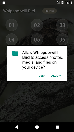 Whippoorwill bird sounds Screen 3