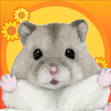Hamster Valley icon