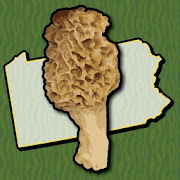 Pennsylvania Mushroom Forager Map Chanterelles
