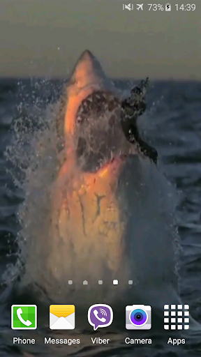 Shark Attack Live Wallpaper Screen 2