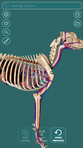 Imágen 5 Visual Canine Anatomy 3D - lea android