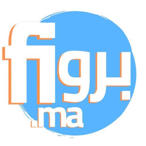 Profi.ma logo