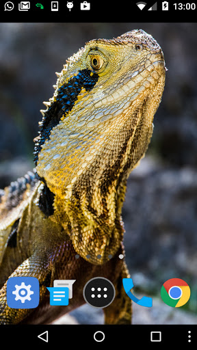 moving lizard wallpaper Screen 2