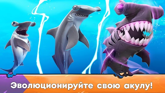 Hungry Shark Evolution 3