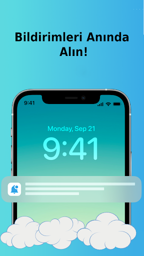 Seenfly - Online Offline Track