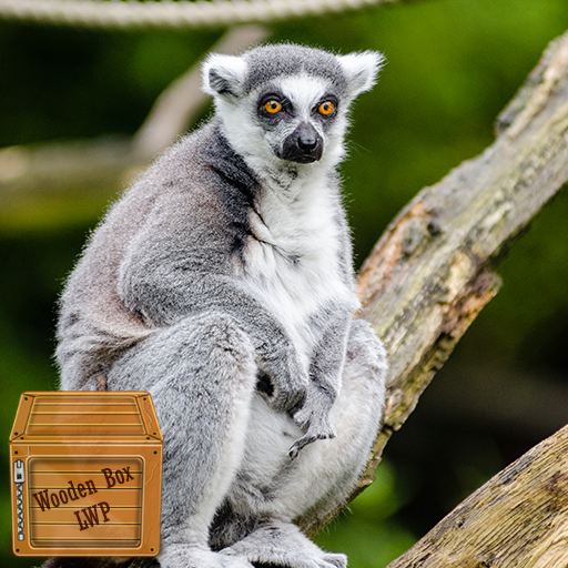 lemur wallpaper logo