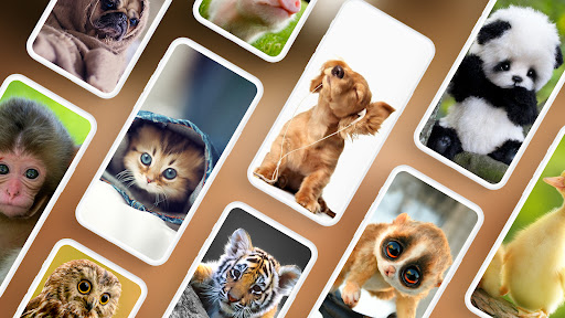 Android application Cute Animal Wallpapers PRO screenshort