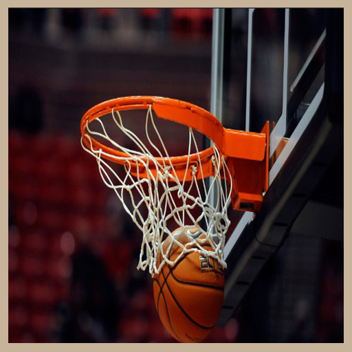 Basketball Techniques logo