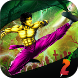 Slayer street fighter 2: kung fu fighting icon