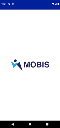 Mobis Groups - VSLA 1