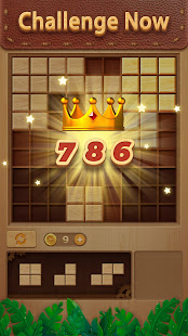 BlockJoy: Woody Block Sudoku Puzzle Games 1.911 screenshots 4