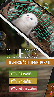Vista previa de la aplicación