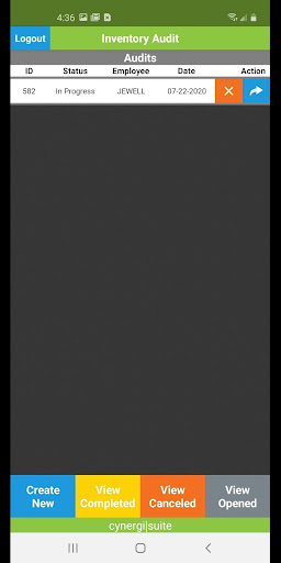 Cynergi Inventory Audit Screen 2