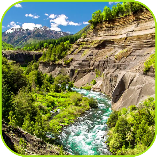 River Video Live Wallpaper logo