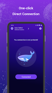Dolphin VPN-Fast & Stable