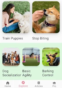 Puppy & Dog Training App