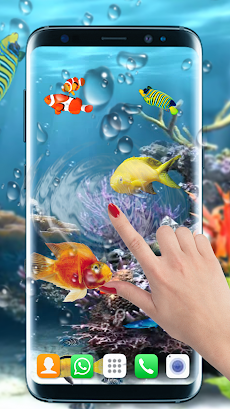 水族館の魚が住んでいます 壁紙3d魚 テーマ Androidアプリ Applion