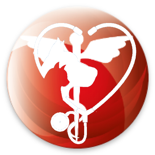 Vus Kurs - Veteriner Uzmanlık logo