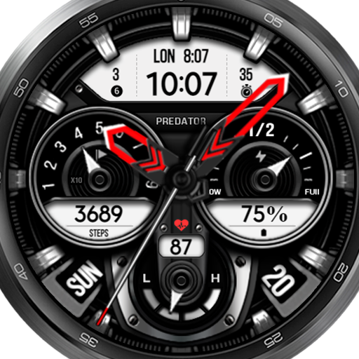 WFP 238 Vulture Watch Face Download on Windows