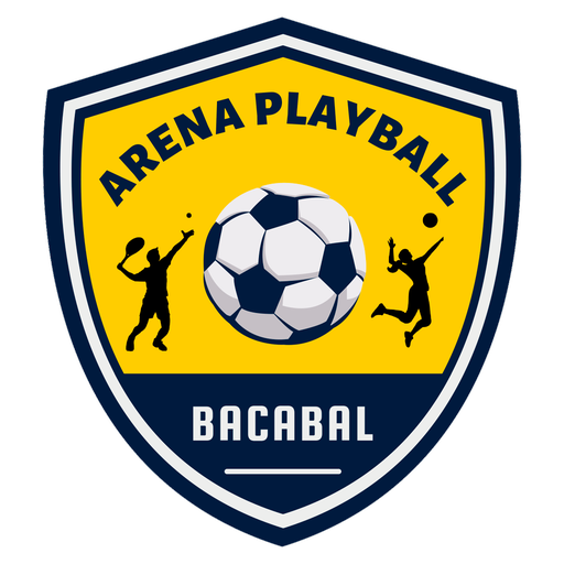 Arena PlayBall logo