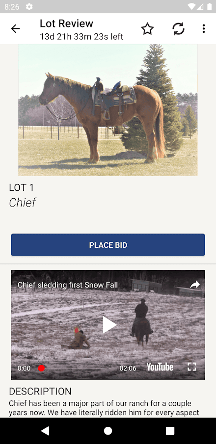 Designer Horse Sales Screen 3