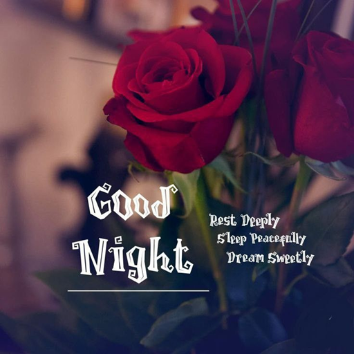 Beautiful Good Night Pictures logo